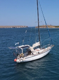 Pelago-scaled Pelago-scaled